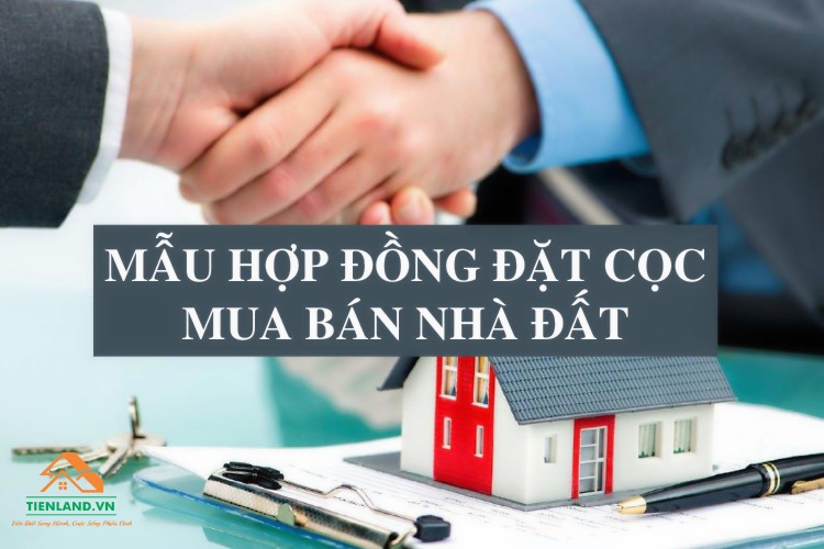 Mẫu hợp đồng đặt cọc mua bán nhà đất