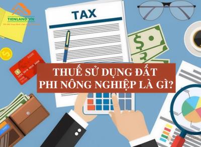 Thuế sử dụng đất phi nông nghiệp là gì? Cách tính như thế nào?